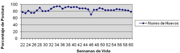 New Marek's disease cases in Argentina – preliminary studies - Image 2