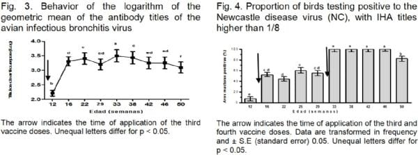 Serological evidence of Ornitobacterium rhinotracheale circulation in laying hens with chronic respiratory syndrome in Cuba - Image 2