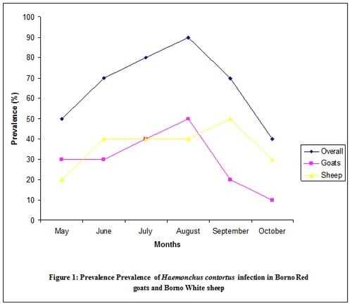 Prevalence and intensity of Haemonchus contortus infection in two breeds of small ruminants in Maiduguri, an arid zone of Northern Nigeria - Image 1
