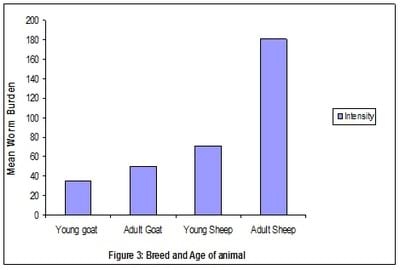Prevalence and intensity of Haemonchus contortus infection in two breeds of small ruminants in Maiduguri, an arid zone of Northern Nigeria - Image 3