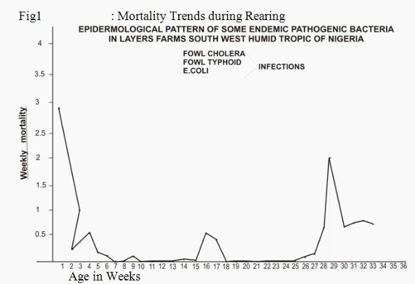 Day Old Chicks (DOC) Health Status and Early Mortalities: Consequences of Mycotoxin on Breeder Farms and Hatchery Managment in West Africa: Case Studies from Nigeria VE - Image 10