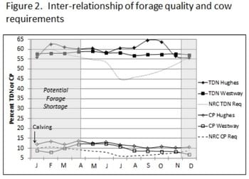 Strategic Supplementation of Beef Cows to Correct for Nutritional Imbalances - Image 5
