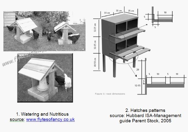 Alternatives to Laying Hens Breeding in Peasant Households - Image 6