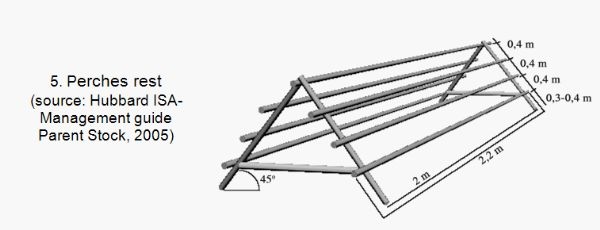 Alternatives to Laying Hens Breeding in Peasant Households - Image 8