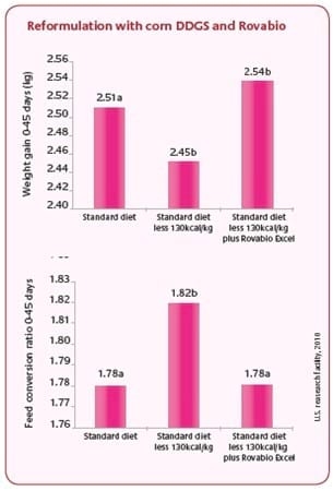 Enhance the nutritional value of corn DDGS in poultry - Image 1