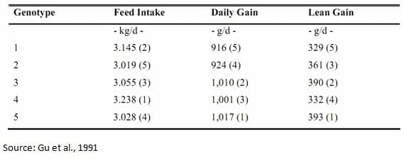 Maximizing Feed Intake in Growing Pigs - Image 3