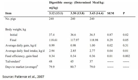 Maximizing Feed Intake in Growing Pigs - Image 4