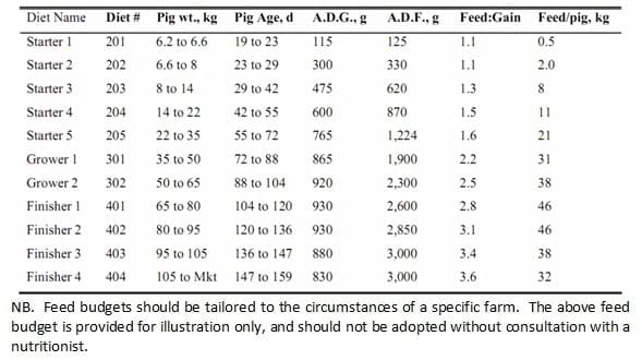 Feed Intake in Pigs | Engormix
