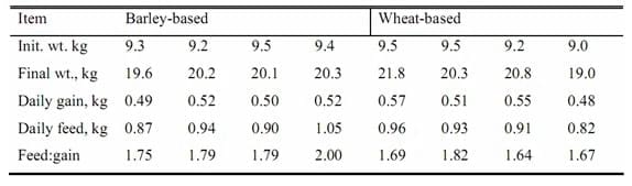 Maximizing Feed Intake in Growing Pigs - Image 5