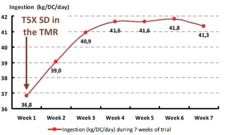 T5X and Zootechnical Performances of Dairy Cows Facing Suspected Mycotoxins Problems. Northern Profile (Trichotecens / ZEA / Fumo) - Image 5