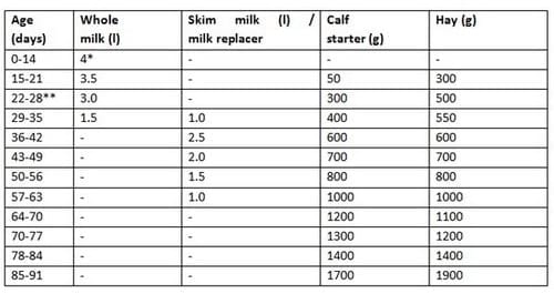 Calf mortality: Causes and control measures - Image 2
