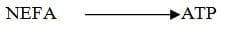 50-day Transition Period: Key Driver of Profitability - Image 5
