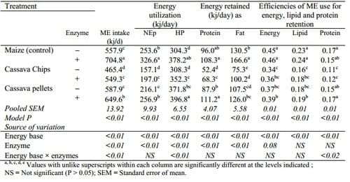 Maximising the Energy Value of Cassava Products in Diets for Broiler Chickens - Image 2