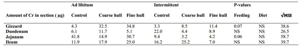 The Effect of Insoluble Fibre and Intermittent Feeding on Gizzard Development, Gut Motility, and Performance in Broiler Chickens - Image 3