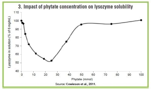 Phytate: Anti-nutrient for poultry, swine - Image 3