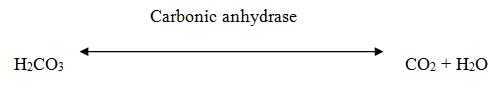 Dietary electrolyte balance in heat stressed broiler chickens - Image 1