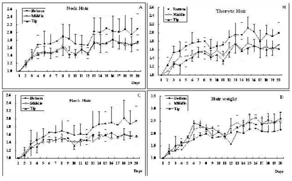Effect of Pregnancy on Body Hair Growth in Dairy Cattle - Image 2
