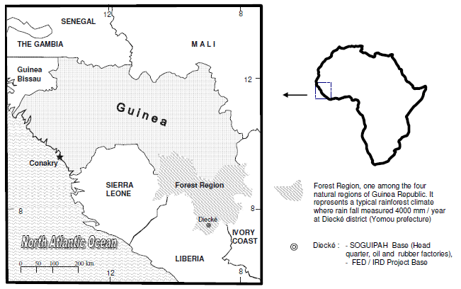 Bioconversion of palm kernel meal for aquaculture: Experiences from the forest region (Republic of Guinea) - Image 1