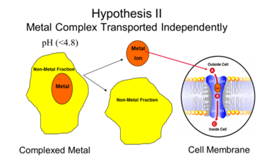 Metal Propionates: A Boon for Today’s Dairy Animal - Image 2