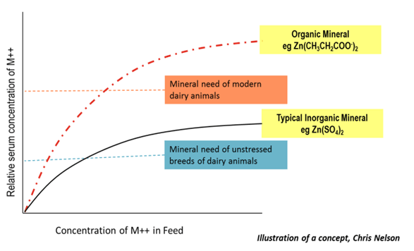Metal Propionates: A Boon for Today’s Dairy Animal - Image 4