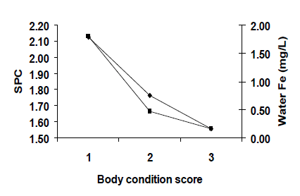 Effect of quality and frequency of drinking water on productivity and fertility of dairy buffaloes - Image 6