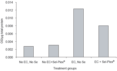 Selenium sources and selenoproteins in practical poultry production - Image 8