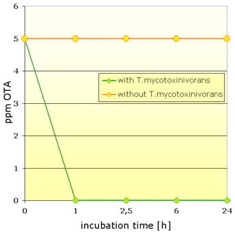 Occurrence of Mycotoxins in Commodities collected in Spain - Image 4