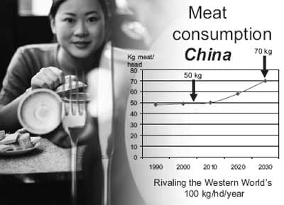 The new energy crisis: food, feed, or fuel? Will ethanol displace gasoline or simply take food off our plates and feed from our animals? How can new technologies help? - Image 6