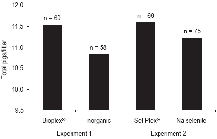 Pressures on mineral reserves: what’s the best way to meet the needs of highly prolific sows? - Image 3