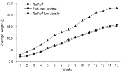 Designing organic aquaculture systems: can we integrate microbial products and by-products? - Image 1