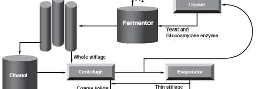 Growing potential for using dried distillers’ grains with solubles in swine diets - Image 2