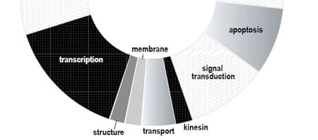 Nutrigenomics in aquaculture research: a key in the ‘Aquanomic’ revolution - Image 7