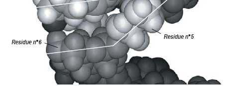 Reducing mycotoxin impact: the science behind Mycosorb - Image 11