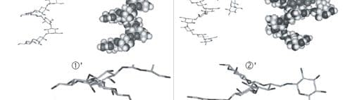 Reducing mycotoxin impact: the science behind Mycosorb - Image 12