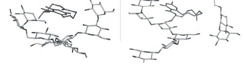 Reducing mycotoxin impact: the science behind Mycosorb - Image 13