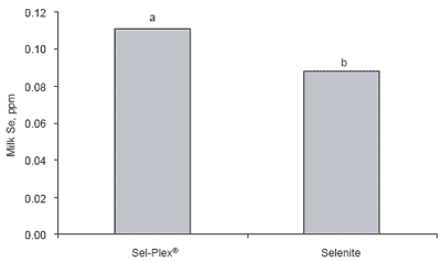 Piglet survivability and performance: Sel-Plex® versus sodium selenite in sow and nursery diets - Image 4