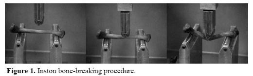 Phytase application variations in broiler diets and legislative update - Image 3