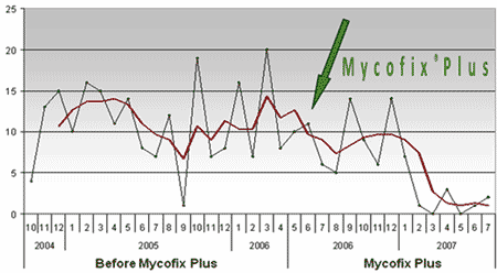 Solving mycotoxins-related problems in dairy - Image 3