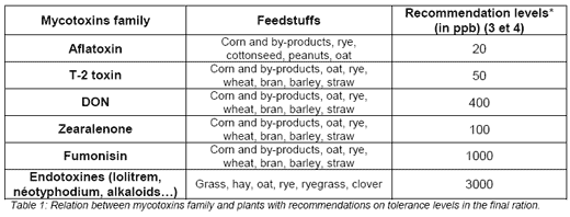 Mycotoxicosis in Horses: A Worldwide Concern!!! - Image 1