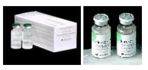 Coccidiosis in Poultry - Image 2