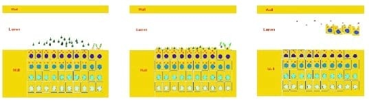 Coccidiosis in Poultry - Image 4