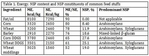 Enzyme Supplementation Improves the Gut Health of Pigs - Image 1