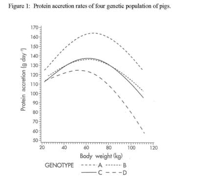 Can the growth and carcass characteristics of market hogs be manipulated by nutrition? - Image 2