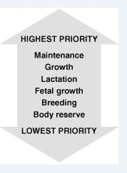 Negative Energy Balance. Consequences on Animal Production and Reproduction - Image 2