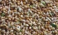 KOFA – Preserves virtually anything! - Image 2