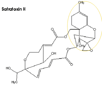Interpretation of the results of mycotoxin's analysis in feed - Image 29