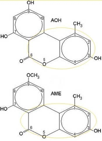 Interpretation of the results of mycotoxin's analysis in feed - Image 31