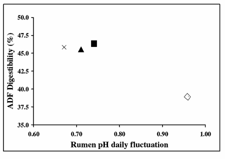 Effect of Corn Silage Diets to Dairy Cows - Image 12
