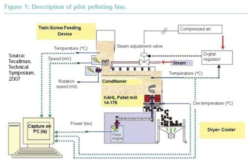 Improving enzyme resistance to pelleting conditions - Image 1