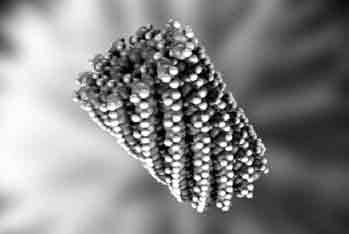 Re-imagining the feed industry: focus on price, perception and policy - Image 12